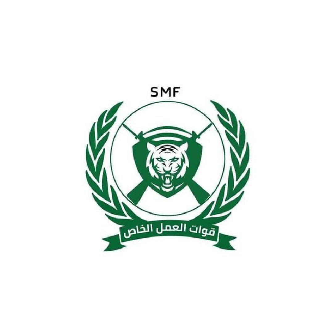 Special Action Forces Logo